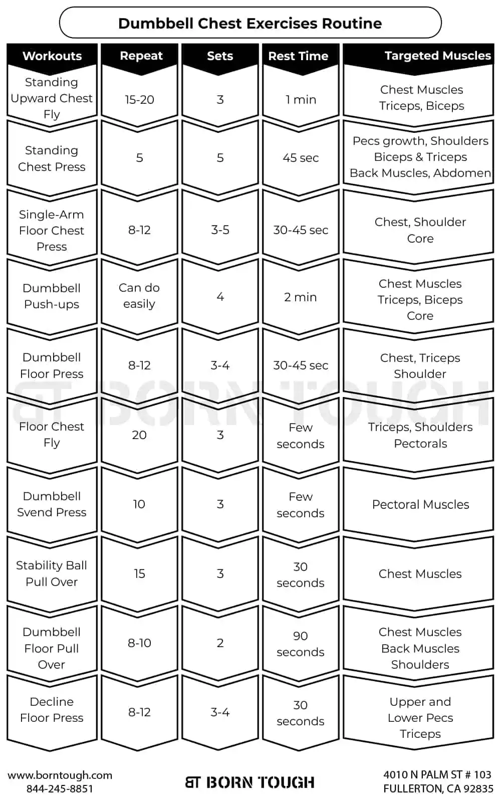 Dumbbell chest exercises routine