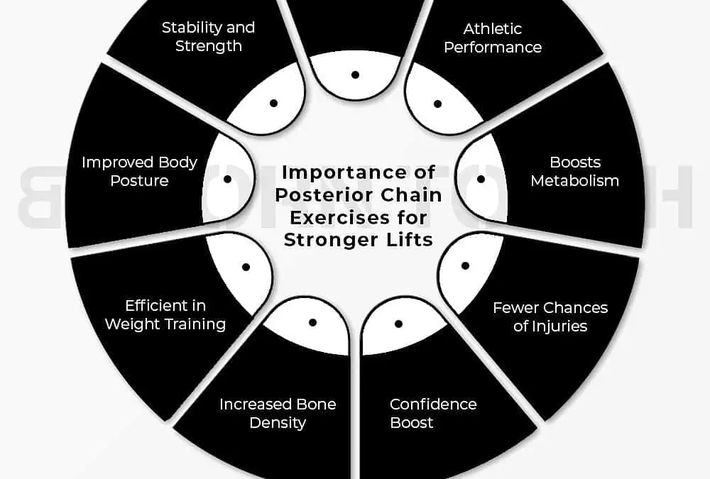 10 Best Posterior Chain Exercises for Stronger Lifts