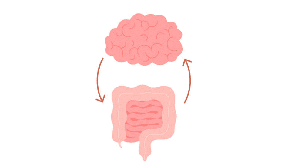 Is the colon the ‘second brain’ - wellcare world - wellness - alternative medicine - colon - terahertz