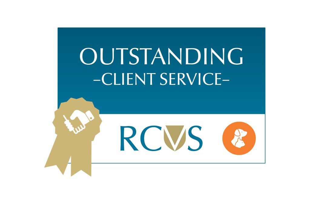 ‘Outstanding’ in RCVS additional awards