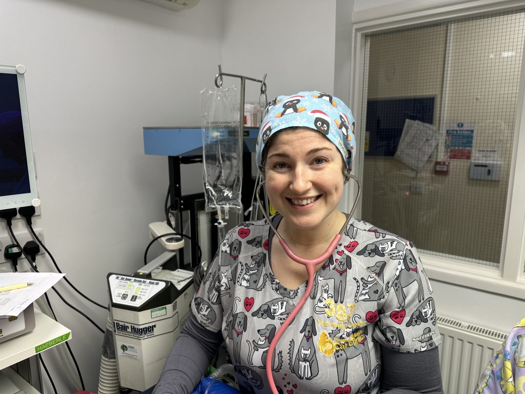 IMG 6603 1024x768 1 | Festive opening hours at 387 Vets | It’s hard to believe Christmas is only a couple of days away! Here is our Lead Nurse Cody getting into the Christmas spirit with her festive-themed theatre cap! Look out for some of our team sporting reindeer antlers if you’re popping in during the next couple of days! | Wellcare World | cat