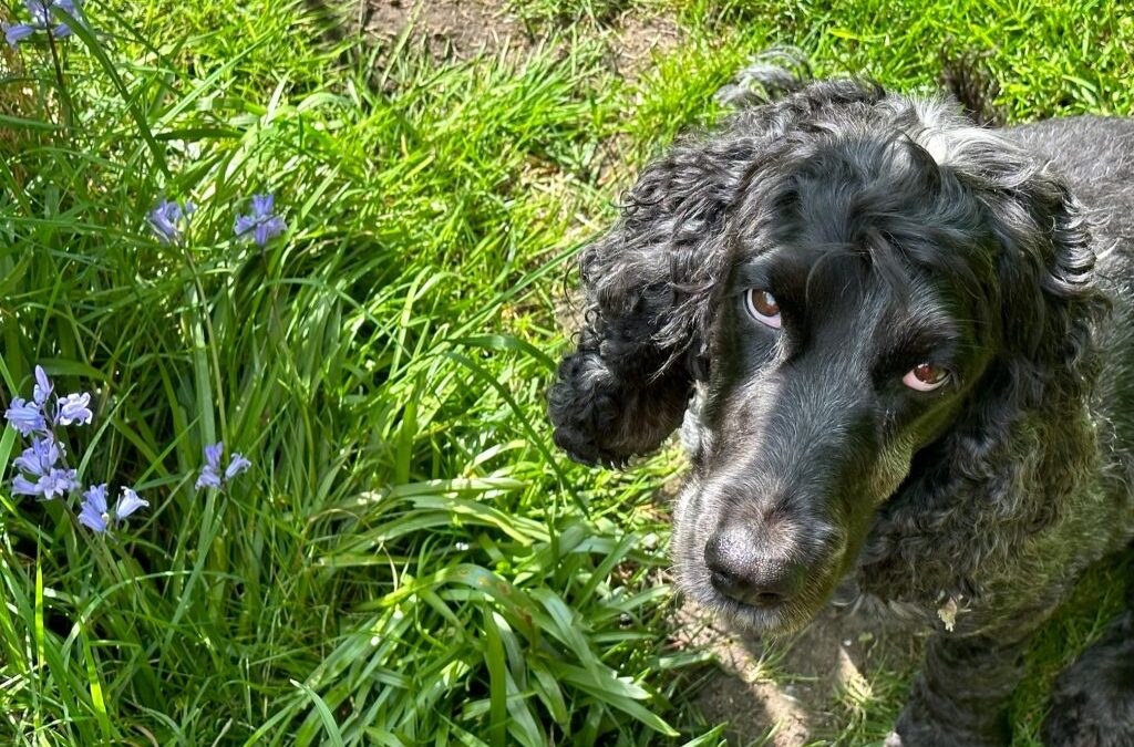 Happy Early May Bank Holiday!