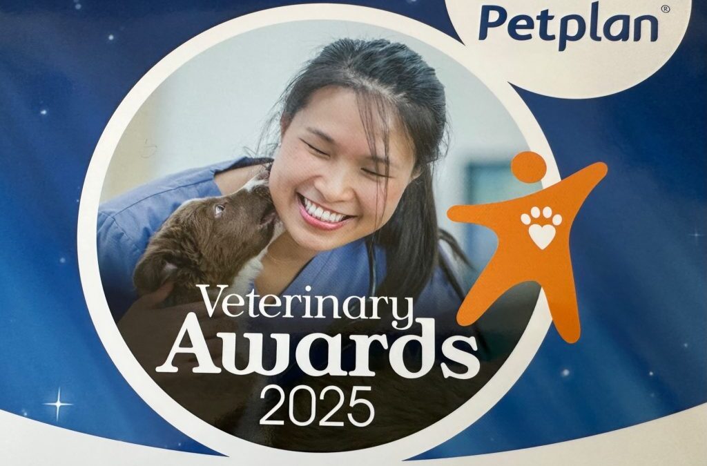 Petplan Vet Awards 2025 – nominations are open!