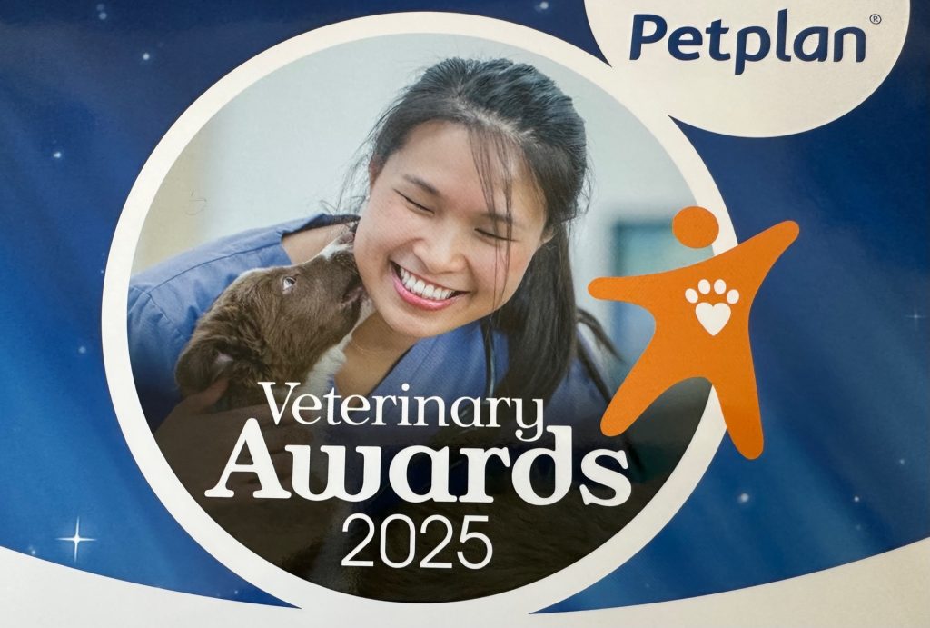Petplan 1024x691 1 | Petplan Vet Awards 2025 – nominations are open! | Nominations for the Petplan Veterinary Awards 2025 are now open! Hailed as the Oscars of the veterinary world and now in their 26th year, the awards are designed to celebrate excellence in the industry and to recognise vet teams and individuals who go that extra mile to support owners and their pets. | Wellcare World | car, cat, Love, pet, pets, scars, Support, WHO