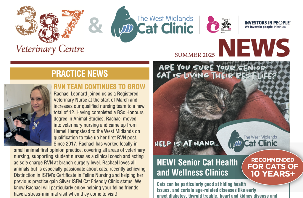 Summer 2025 newsletter out now!