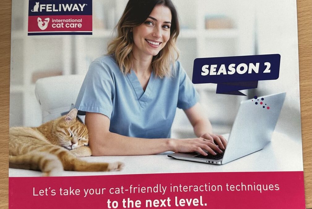 Back from World Cat Congress