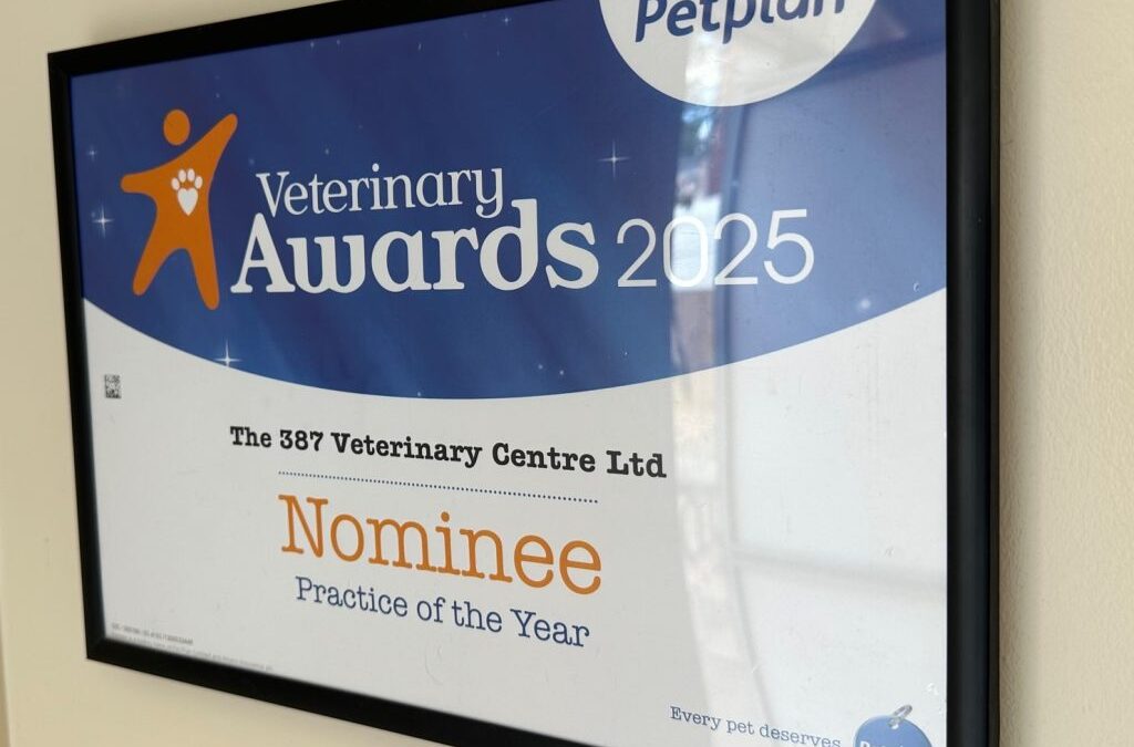 Last chance to vote!