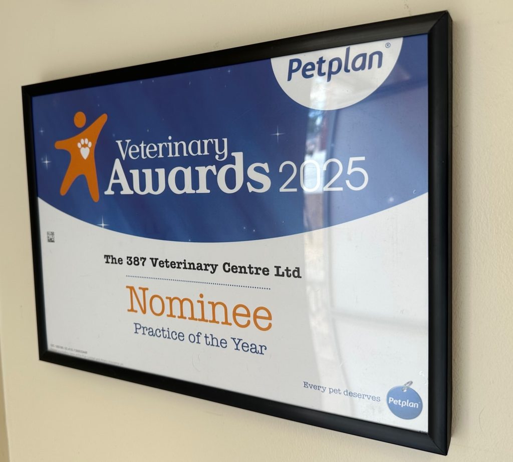 Petplan 2 1024x923 1 | Last chance to vote! | A massive thank you to everyone who has nominated us in the 2025 Petplan Veterinary Awards. The awards are held in high regard within the veterinary industry and are an opportunity to recognise teams and individuals for their commitment and dedication to supporting pets and their owners. Everyone who is nominated receives a certificate, and a select few will be shortlisted as finalists for an award. We’re keeping fingers crossed! | Wellcare World | Time