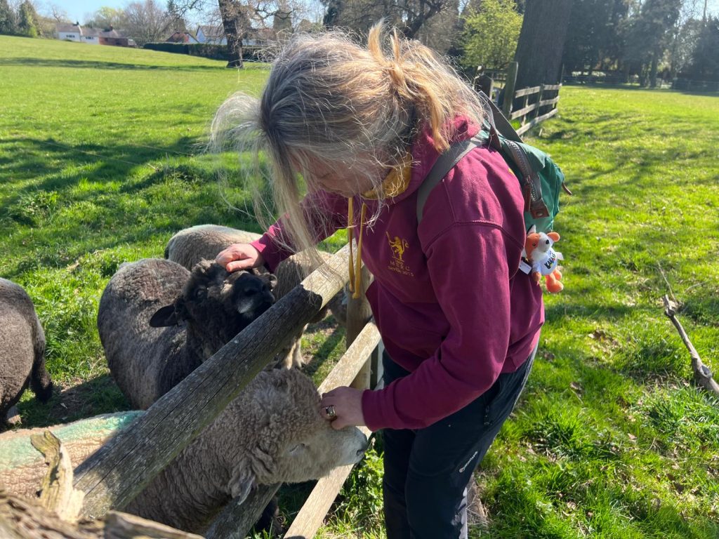 Vetlife rachel 1024x768 1 | Final push for Vetlife fundraiser! | Huge thanks to everyone who has supported us so far on our October fundraiser for Vetlife. The charity provides mental health and financial support to individuals struggling to cope in an industry where, very sadly, vets are 3-4 times more likely than the general population to die by suicide. | Wellcare World | health, Love, mental health, suicide, Support, Time, WHO