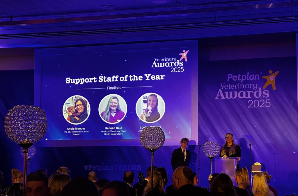 Petplan Awards 2025