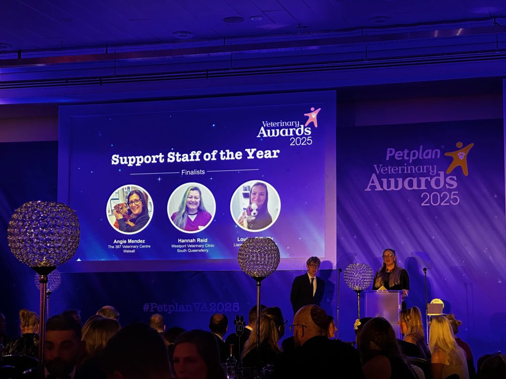 PP3 1024x768 1 | Petplan Awards 2025 | It was an exciting night at Excel London last night as people from across the UK veterinary industry gathered for the 26th annual Petplan Awards. A black tie event, guests arrived to a champagne reception and music from a live band before moving through to a three course dinner, the awards presentations and further evening entertainment. Comedian Josh Widdicome was our compere for the night! | Wellcare World | WHO