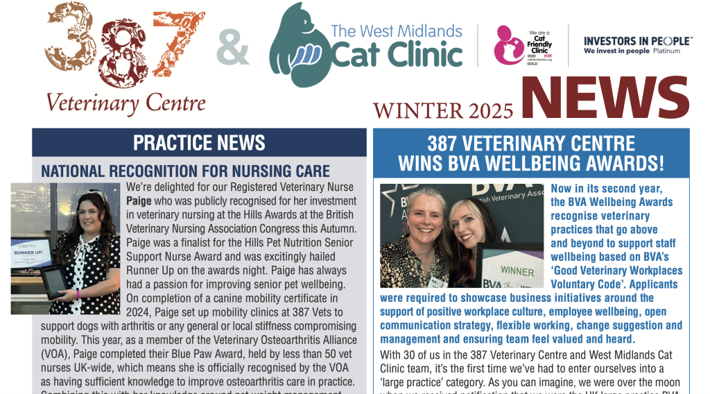 Winter newsletter out now!