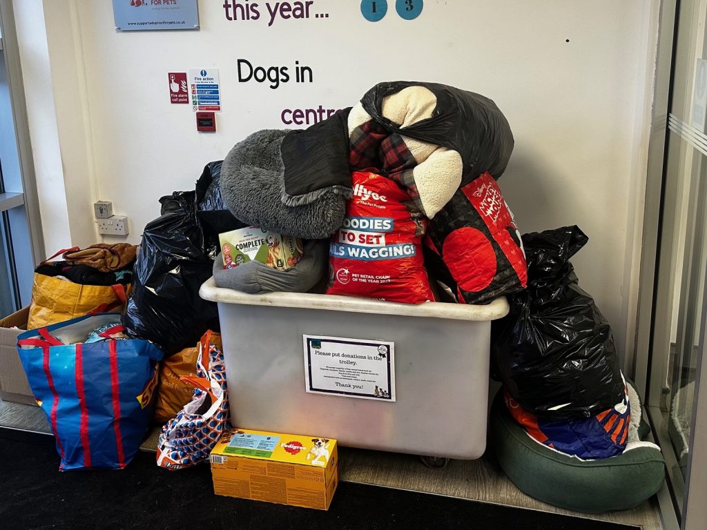 dog donations 1024x768 1 | Thank you so much | A huge thank you to everyone who contributed to our ‘Give a Pet a Christmas Dinner’ campaign which ran throughout December. We received a huge number of donations to help charities support dogs and cats in local shelters waiting for their forever homes. You donated an incredible 673 tins, sachets and trays of wet food, just shy of 40kg of dry food, 90 packets of treats and nearly 100 pet toys, not to mention stacks of pet accessories including pet beds, blankets, towels, leads, harnesses, bowls, brushes, puppy pads and more! | Wellcare World | cat