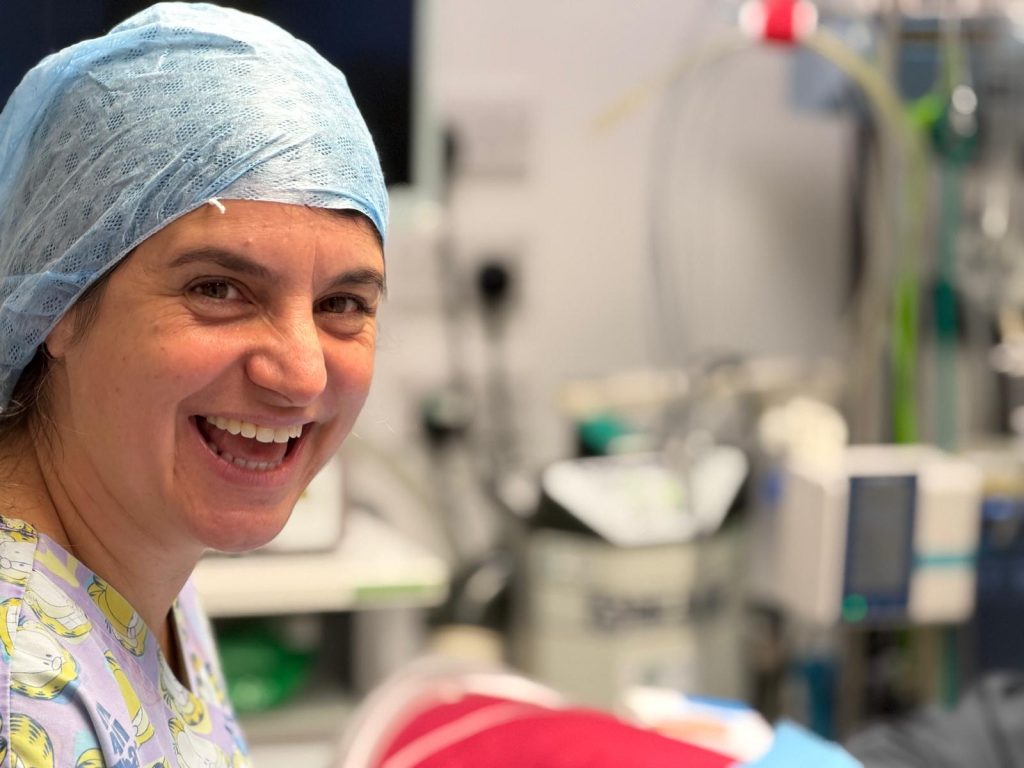 Vet Job 1024x768 1 | Recruiting for a vet! | We’re very excited to be advertising for an additional vet to join the 387 Vets and West Midlands Cat Clinic team. We’d love to welcome a new team member to help us make the most of all our brilliant facilities. Please share this post with anyone you think would be interested. Full job details are available here. | Wellcare World | cat