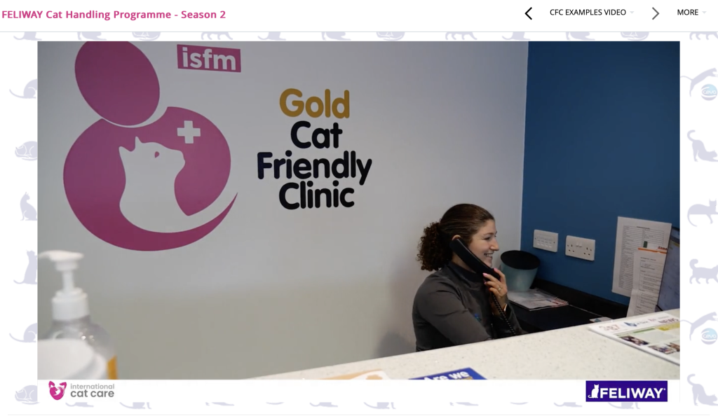 WMCC CH Reception 1024x594 1 | We’re on film! | This year, both 387 Veterinary Centre and The West Midlands Cat Clinic are due to go through re-accreditation for our Cat Friendly Clinic Status and, once again, we’re aiming for gold! The process involves evidencing how we help to minimise feline stress in practice and in and around veterinary visits. | Wellcare World | care