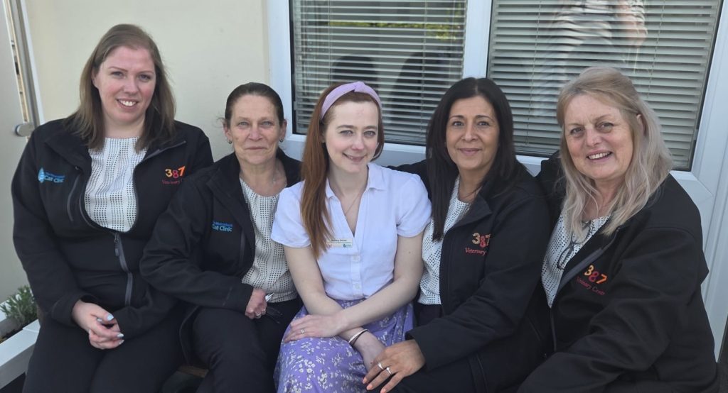Celebrating our veterinary reception team