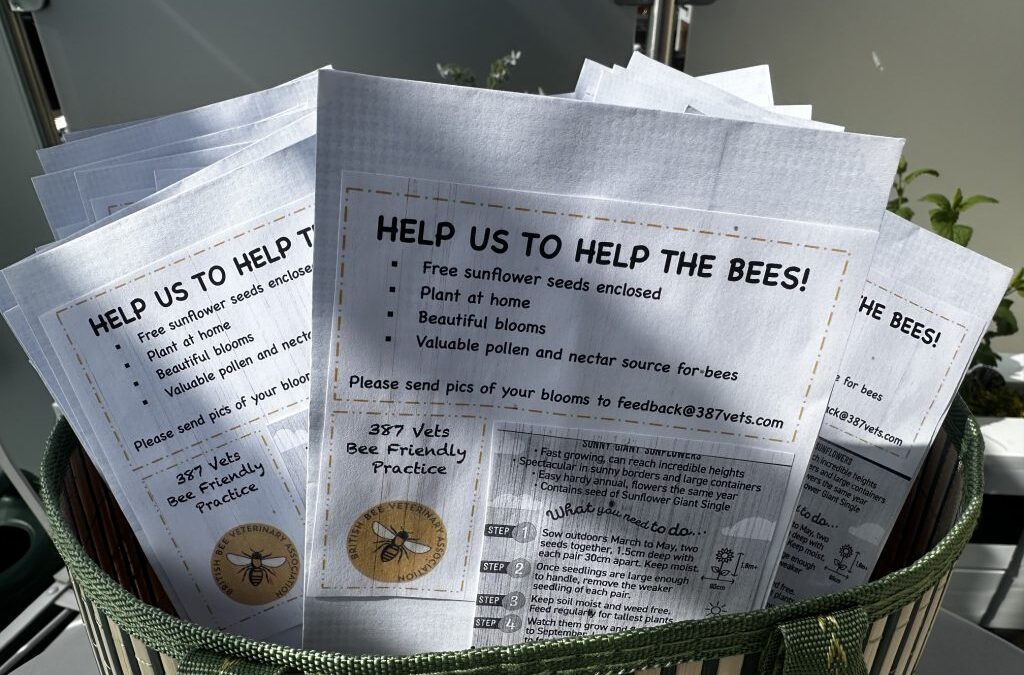 Help us to help the bees!