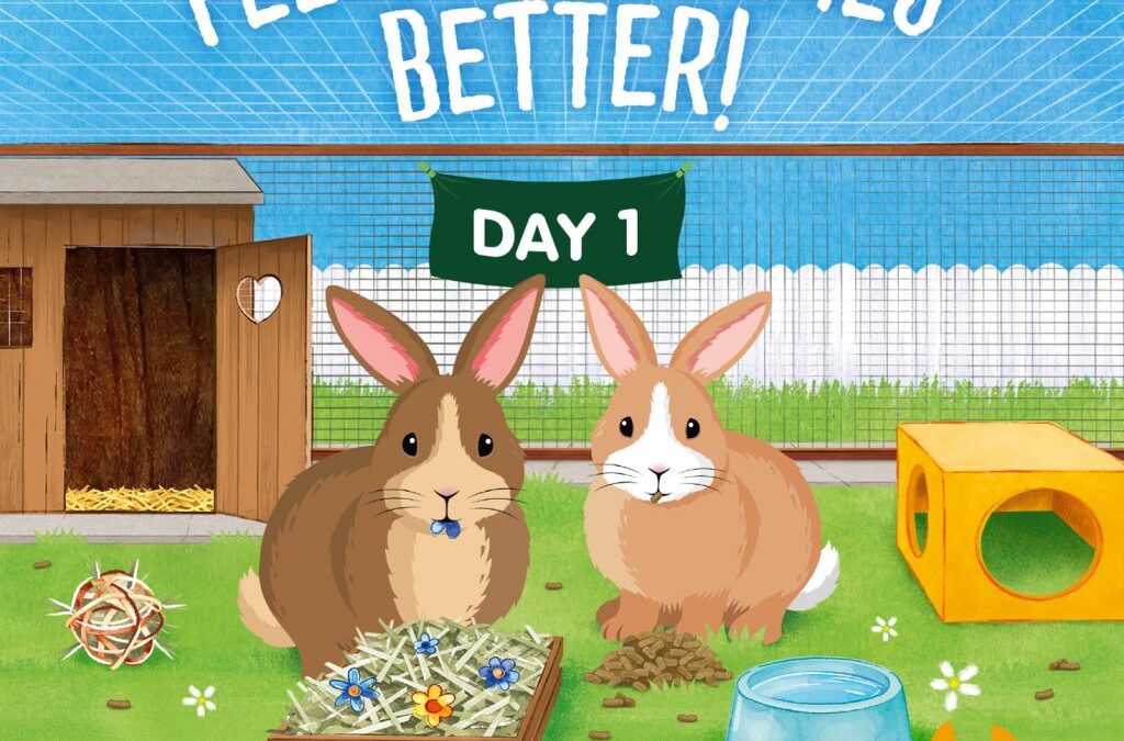 It’s Rabbit Awareness Week!