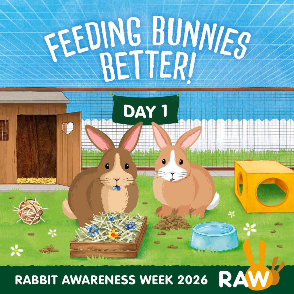 RAW 2026 Day 1 Social Image 1024x1024 1 | It’s Rabbit Awareness Week! | Today is the first day of Rabbit Awareness Week (RAW) 2026! For their 20th anniversary, RAW is focusing this year on ‘Feeding Bunnies Better’. Did you know that 85-90% of a rabbit’s diet should be high quality feeding hay/grass, and that this is essential for their digestive, dental and behavioural health? Add a small amount of nutritious rabbit nuggets into the mix to provide extra vitamins and nutrients and a handful of fresh greens for variety, and your rabbit has the perfect spread for the day! | Wellcare World | Awareness, diet, health, pet, space, vitamins