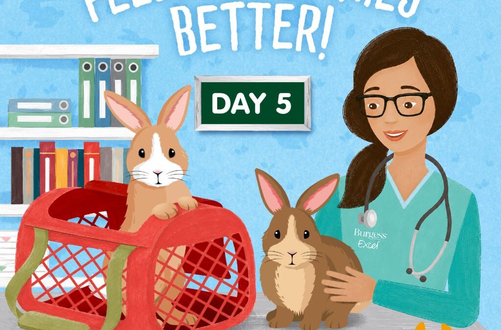 Raising rabbit health awareness