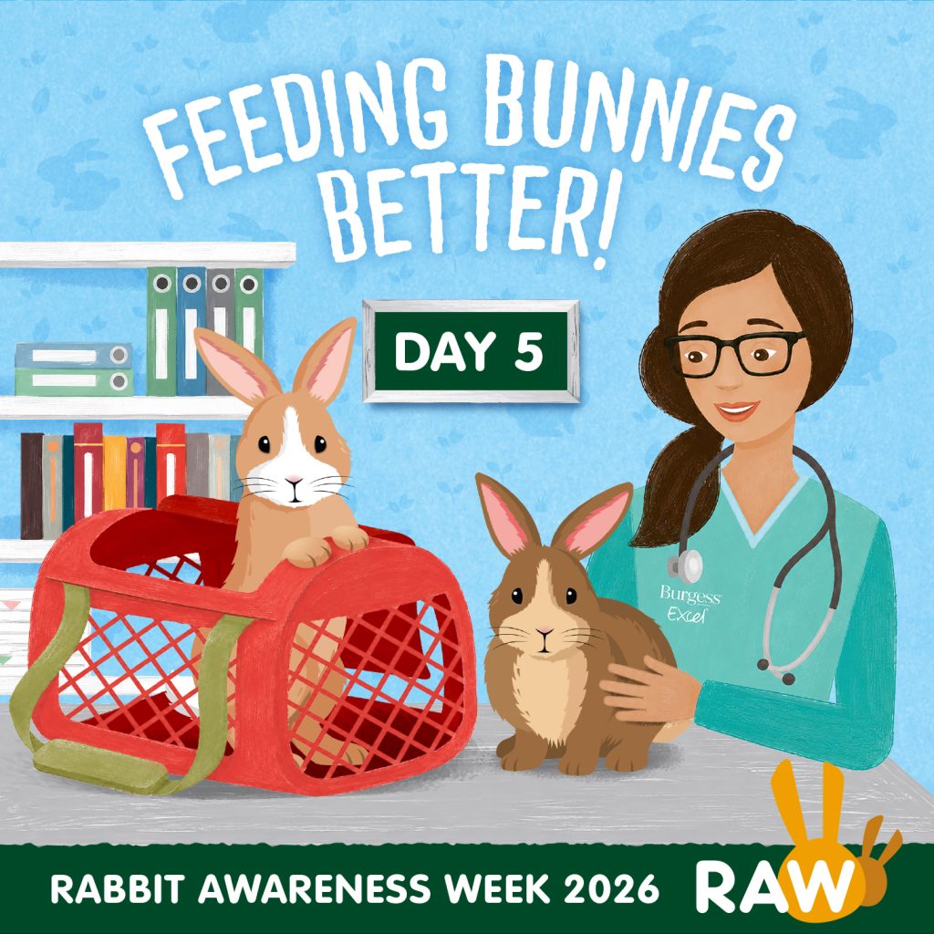 RAW 2026 Day 5 Social Image 1024x1024 1 | Raising rabbit health awareness | It’s officially the last day of Rabbit Awareness Week (RAW) 2026, but don’t forget that we are running free nurse-led rabbit health checks until Friday 3rd July. Give us a ring on 01922 411755 to book your bunny in. Make sure you don’t miss out! | Wellcare World | pet care