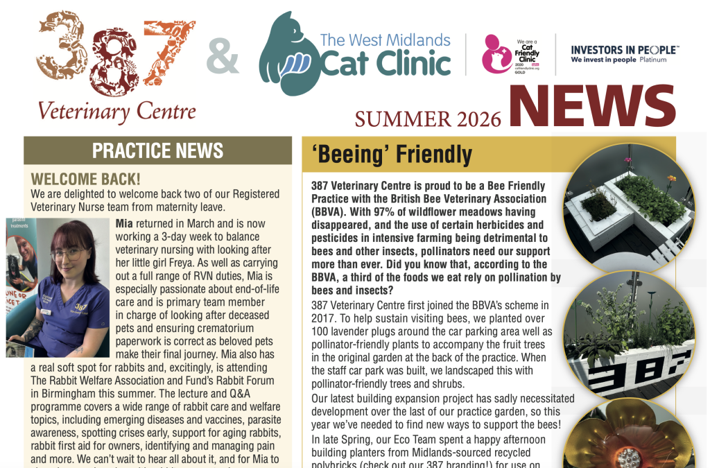 Summer newsletter – read here!