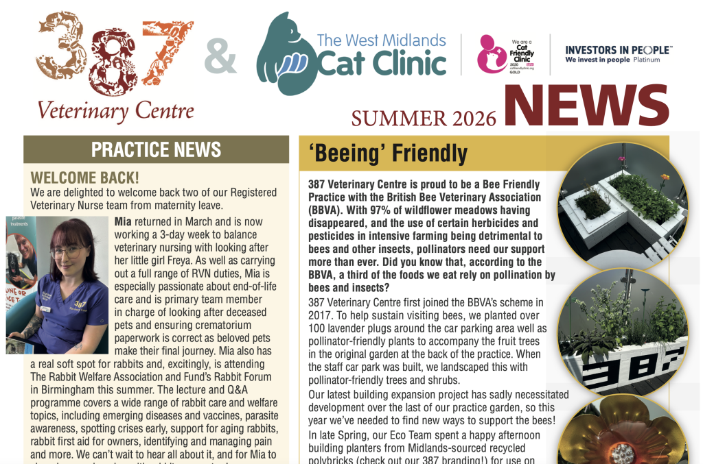 Screenshot 2026 06 11 at 11.02.32 1024x677 1 | Summer newsletter – read here! | When 387 Vets is closed, we provide an out of hours emergency service through Pool House Veterinary Hospital in Lichfield. Please continue to ring 01922 411755 and follow the instructions. Are your pet’s symptoms a health emergency? Use VidiVet or our symptom checker to find out. | Wellcare World | pet