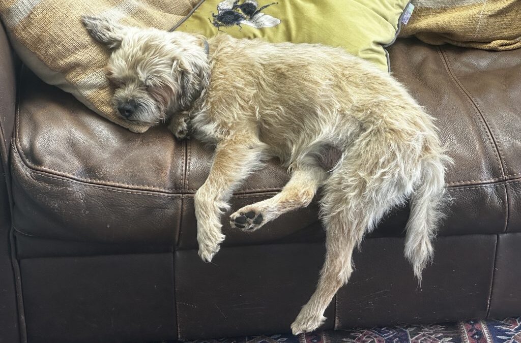 Happy August Bank Holiday!