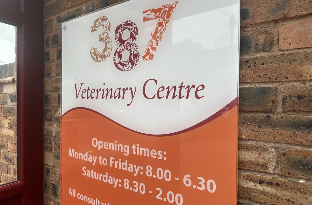 Vet appointments from 8am!